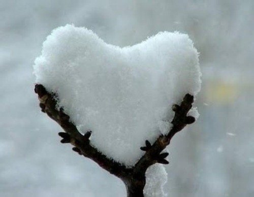 snow-heart snow-heart